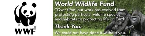 wwf lottery login|My Membership – World Wildlife Fund.